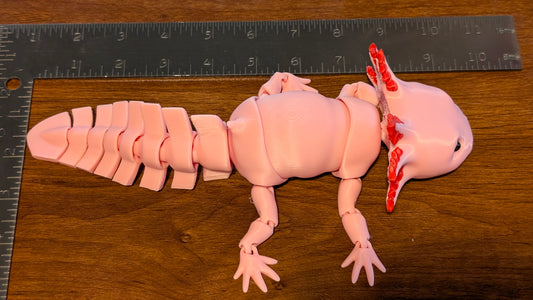 Axolotl