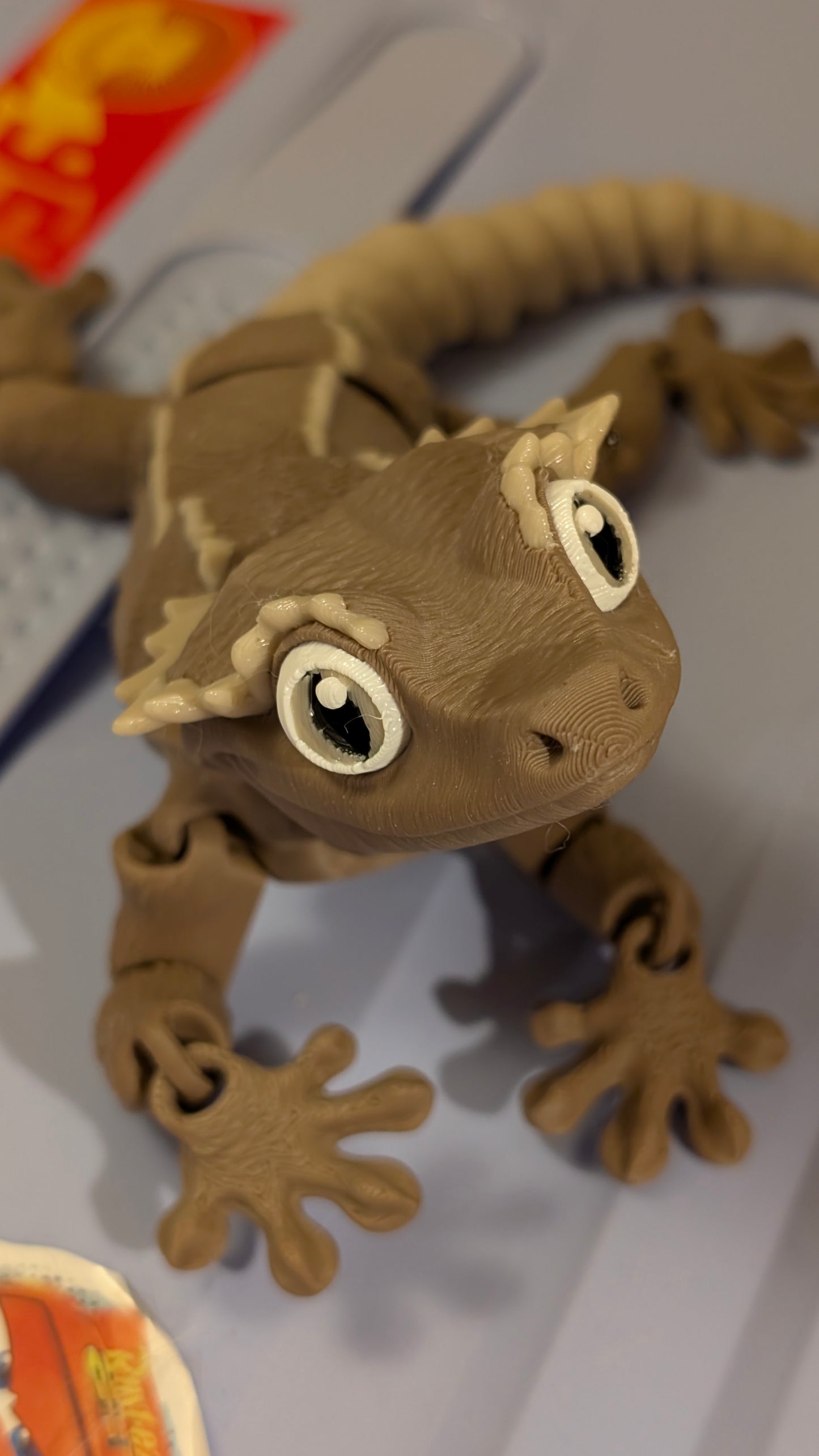 Crested Gecko