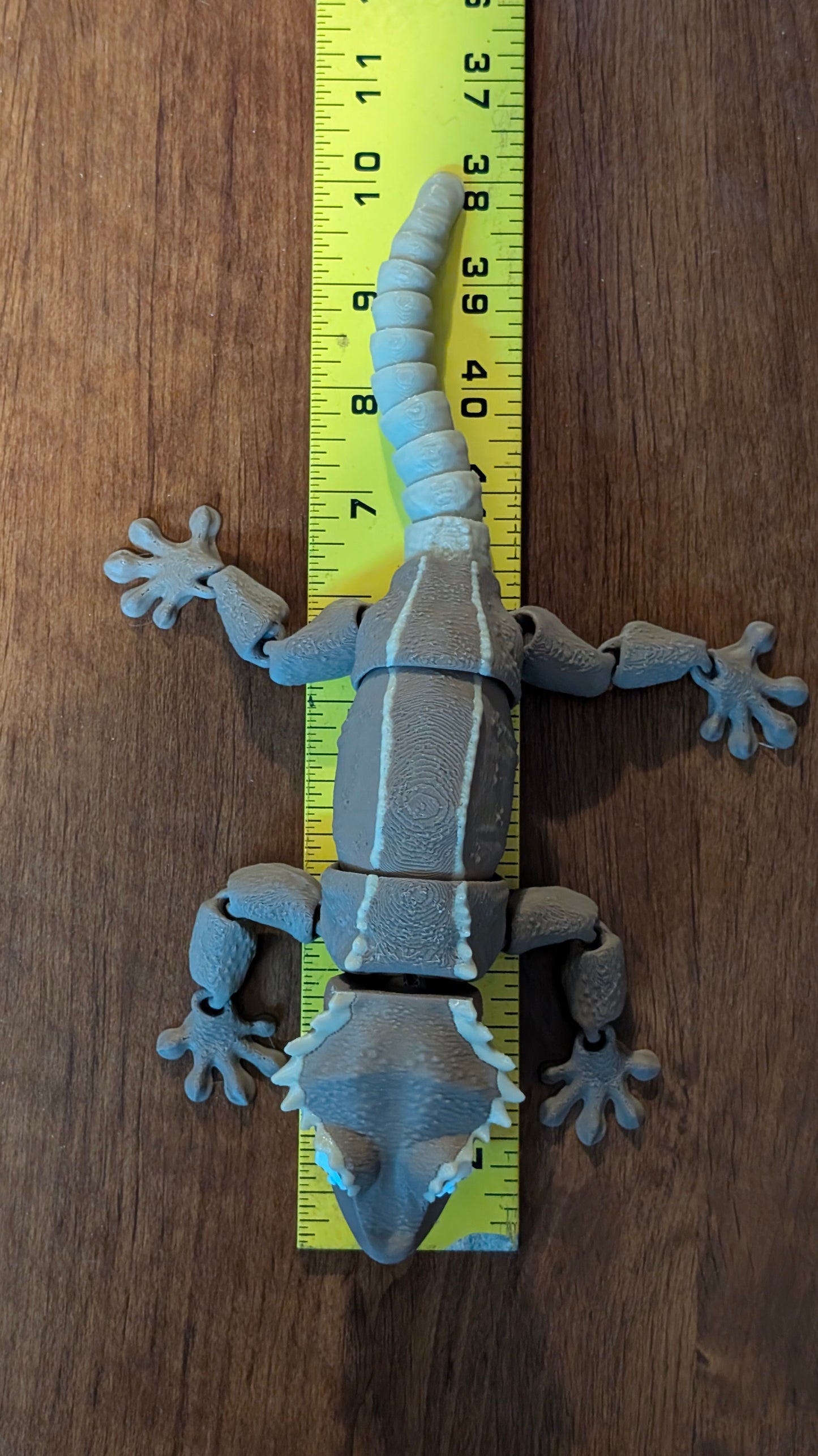 Crested Gecko