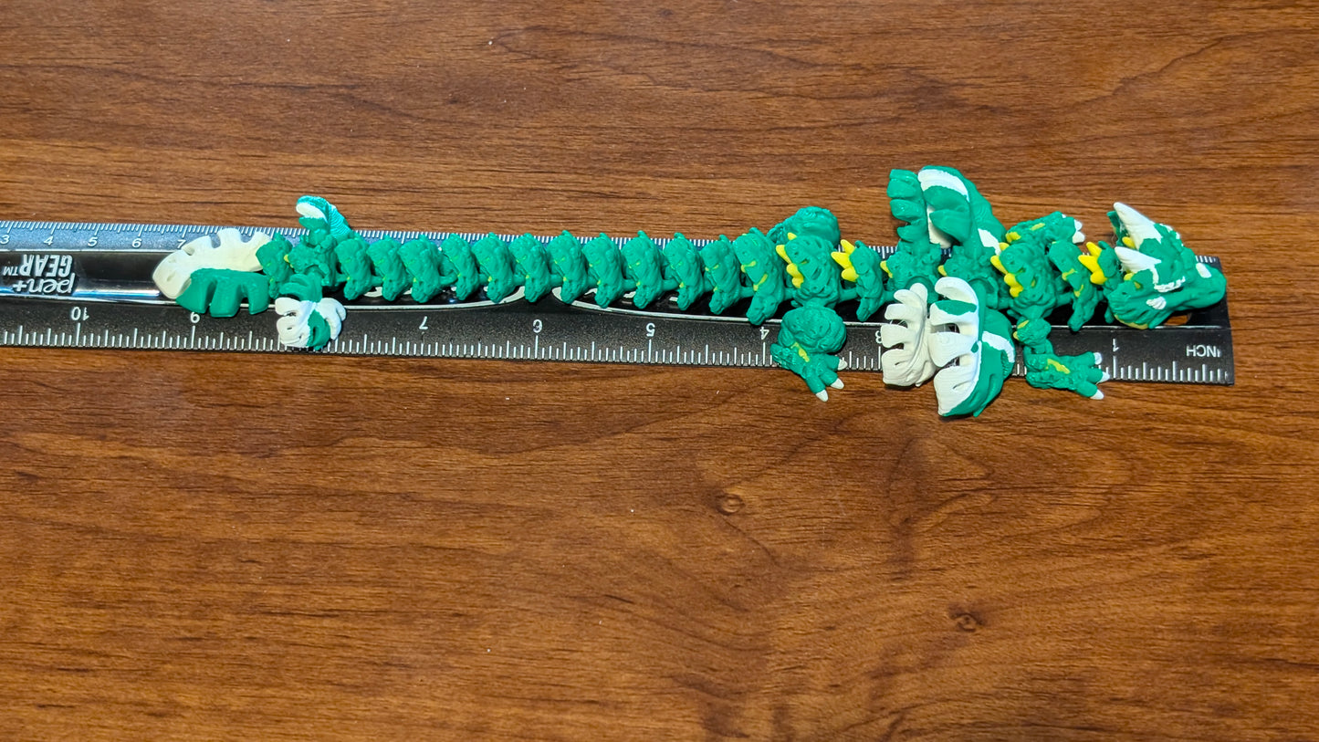 Monstera Dragon