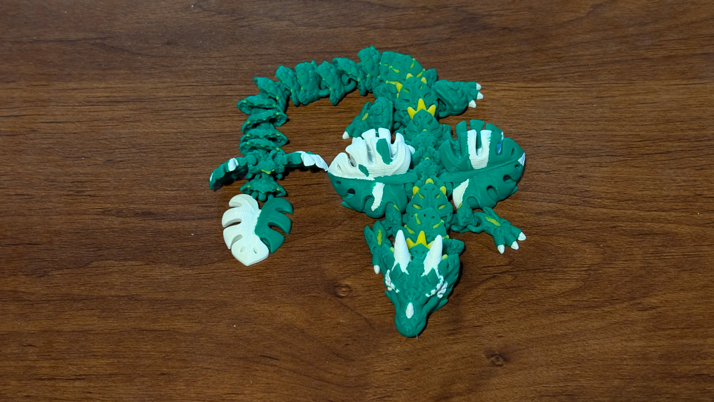Monstera Dragon