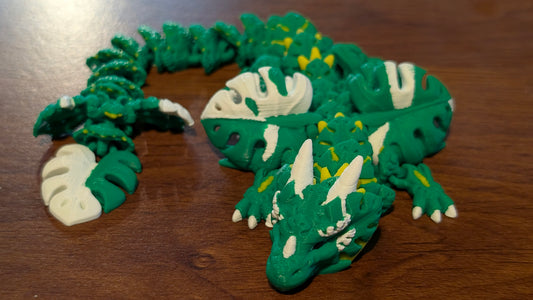 Monstera Dragon