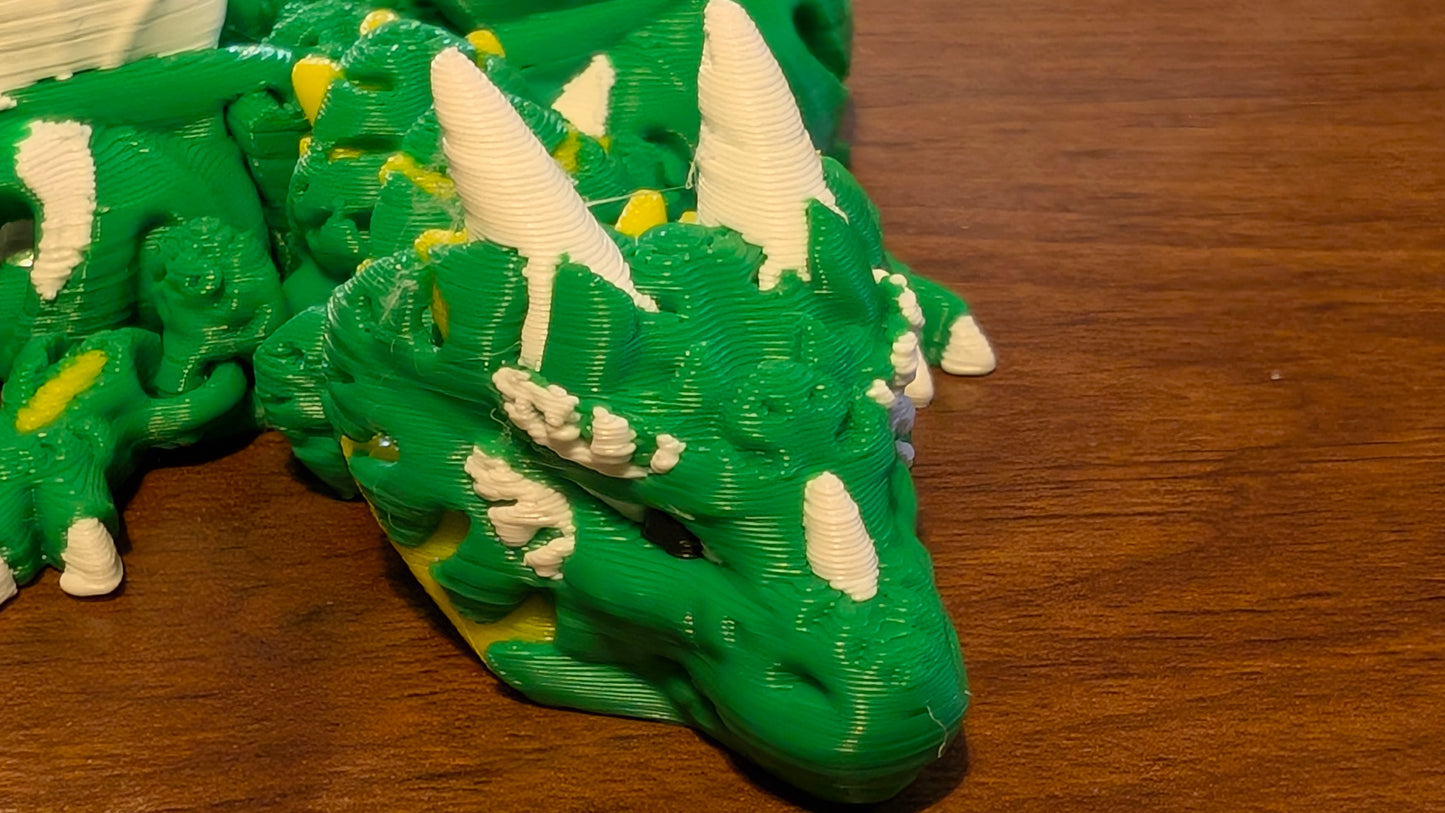 Monstera Dragon