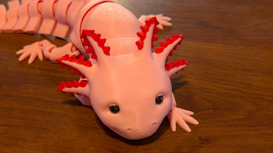 Axolotl