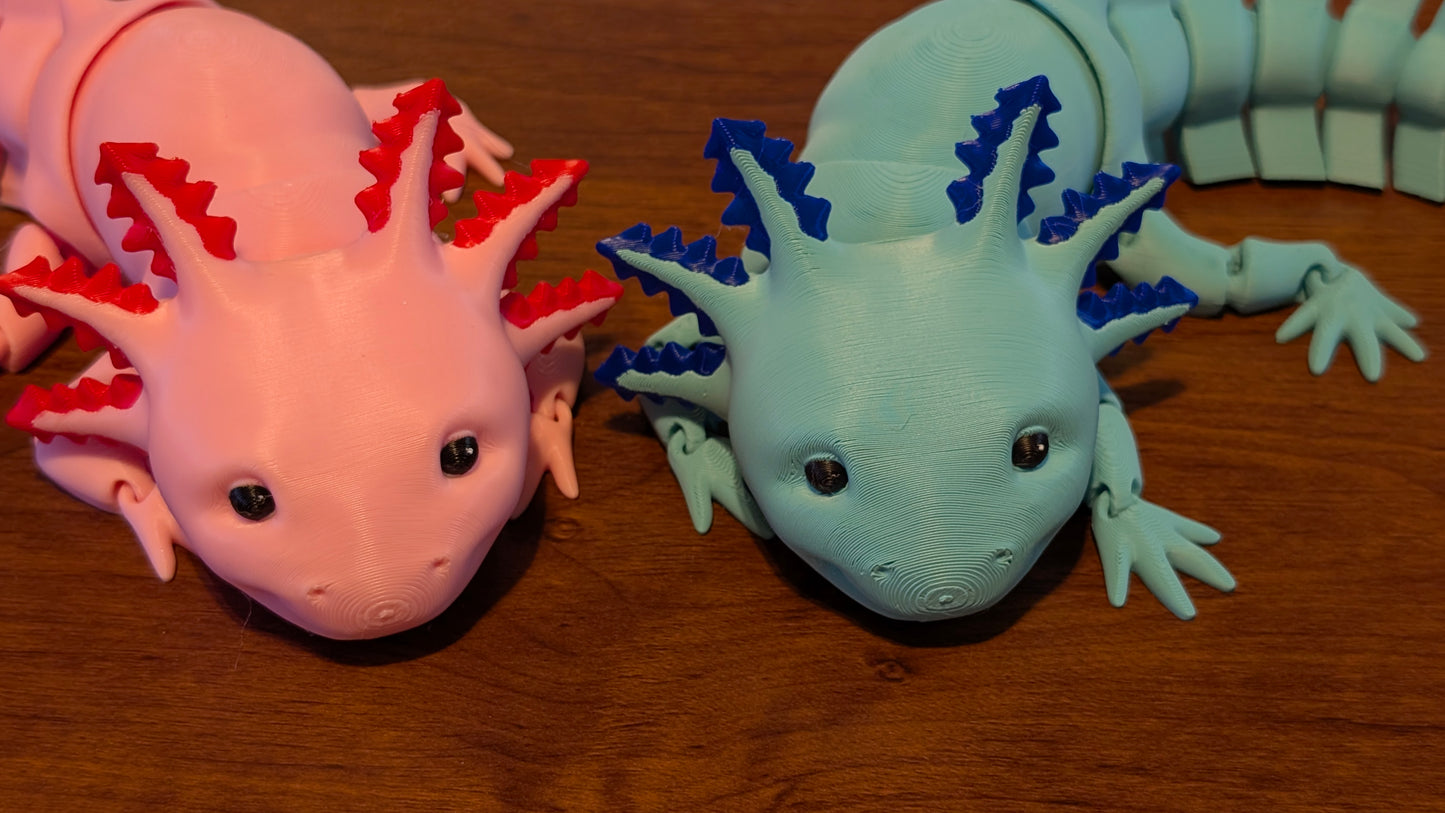 Axolotl