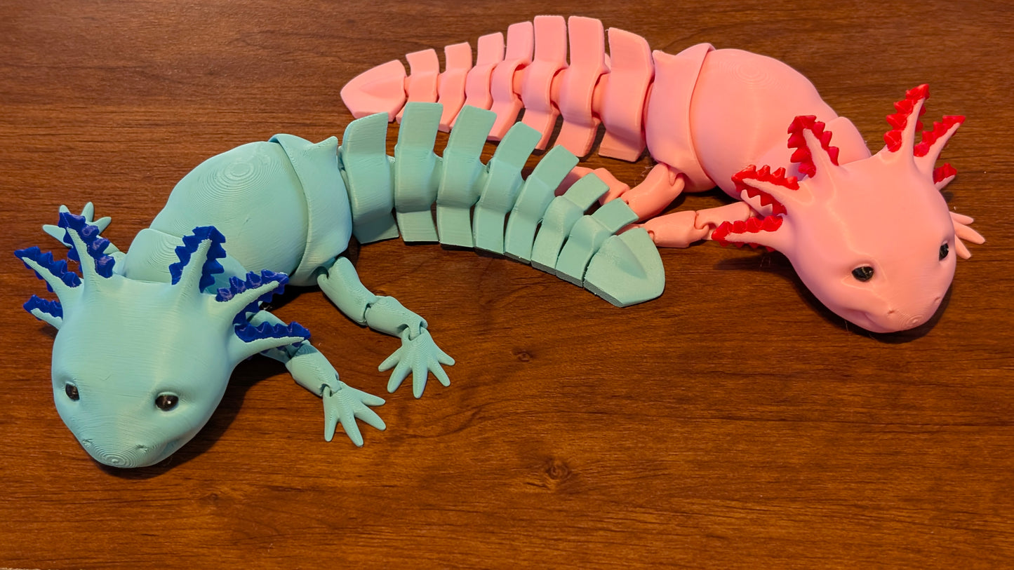 Axolotl