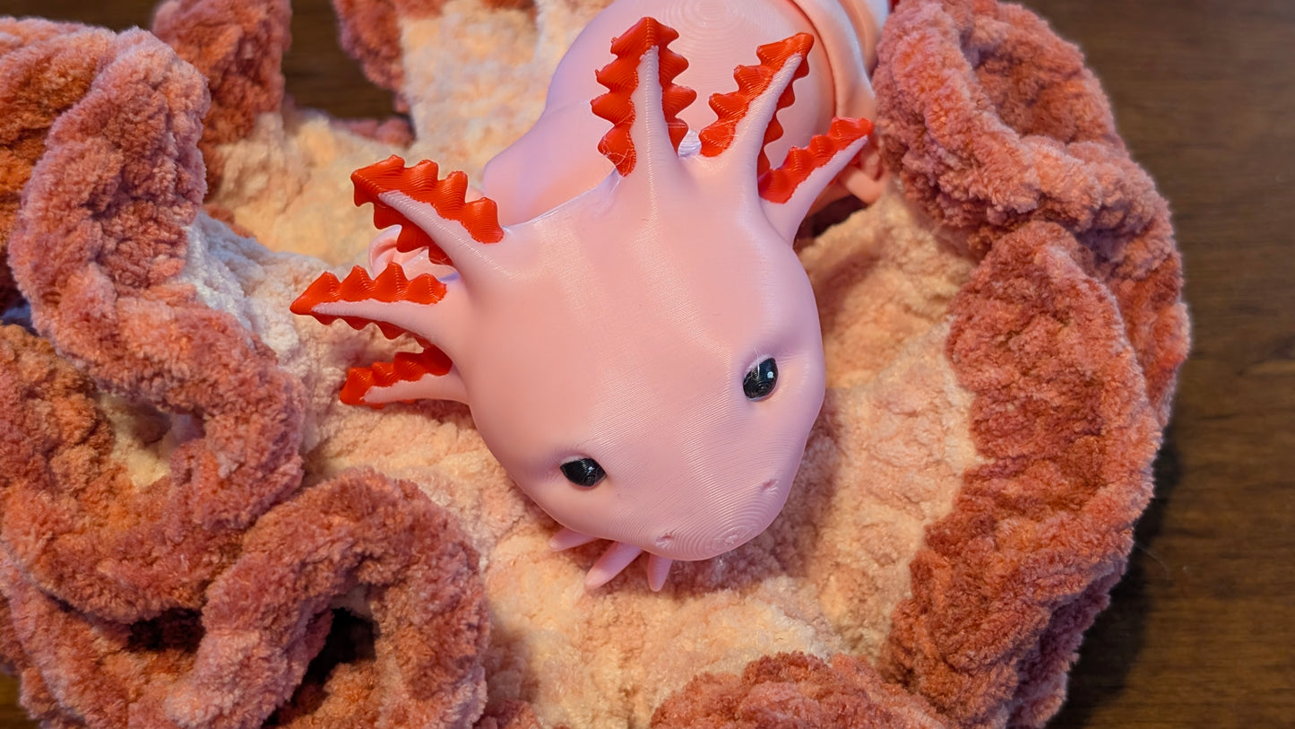 Axolotl